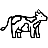 vache